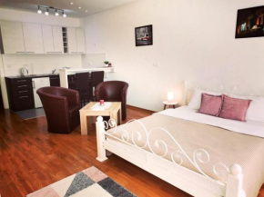 VIKONT studio apartment with free parking and WiFi